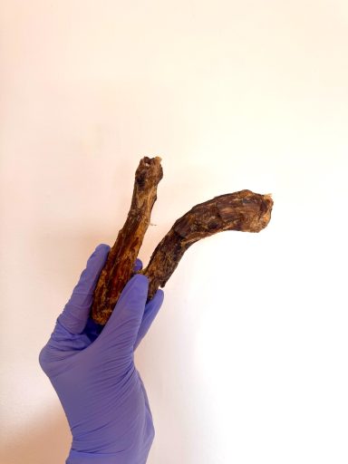 Duck Necks