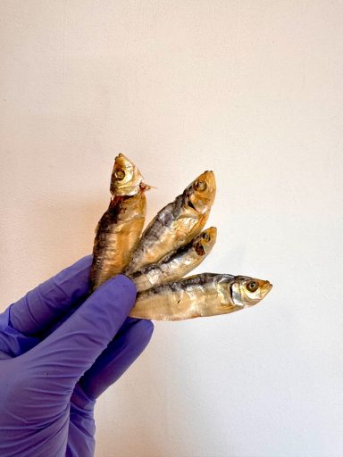 Sprats