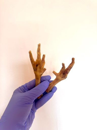 Chicken Feet